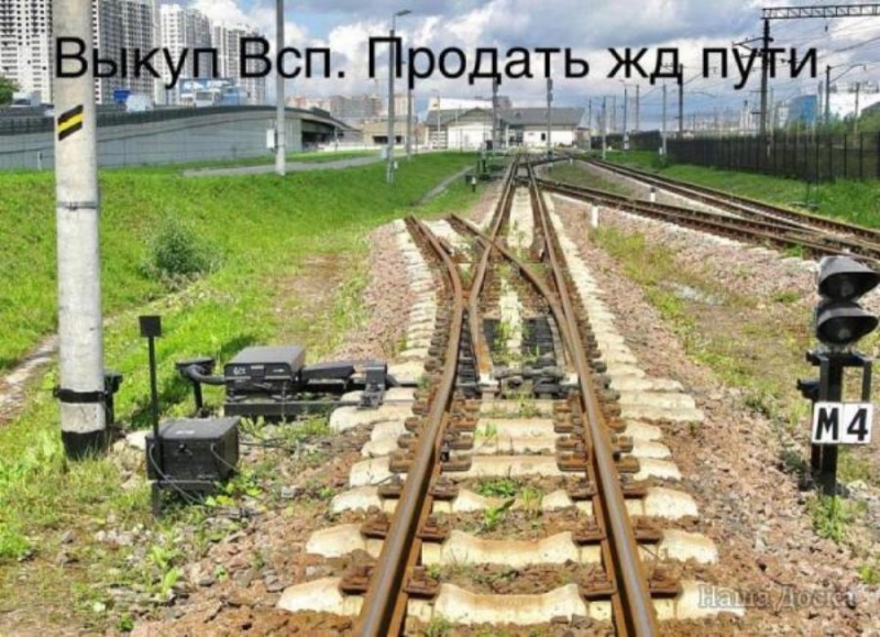 ���y� �� ���e�, pe���, �� �y���o� � Ca���-�e����y���