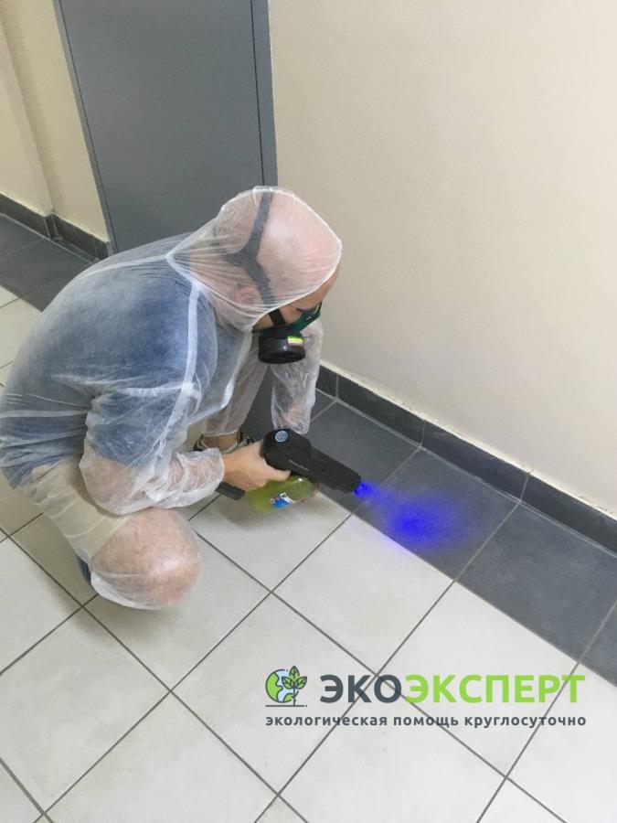 C�y��a p�y��, ���ep�y���a���, o��c��a o� ��y��
